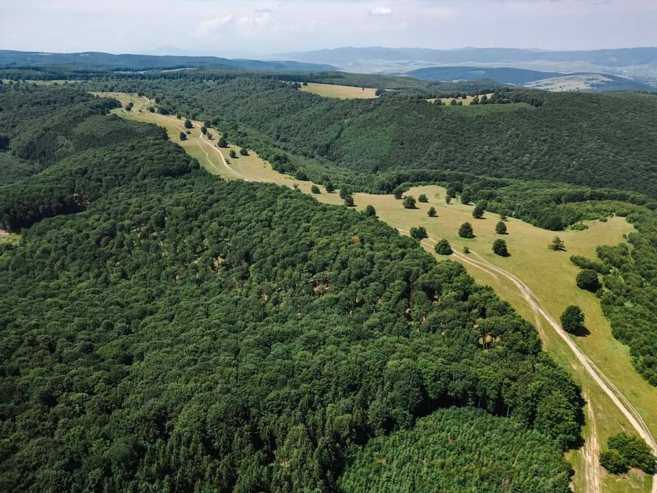 Covasna 25 caseromania.ro covasna