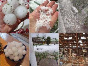 Protejează-ți Casa de Grindină: Ghid Esențial pentru Prevenirea Pagubelor 44 caseromania.ro protejeaza ti casa de grindina ghid esential pentru prevenirea pagubelor