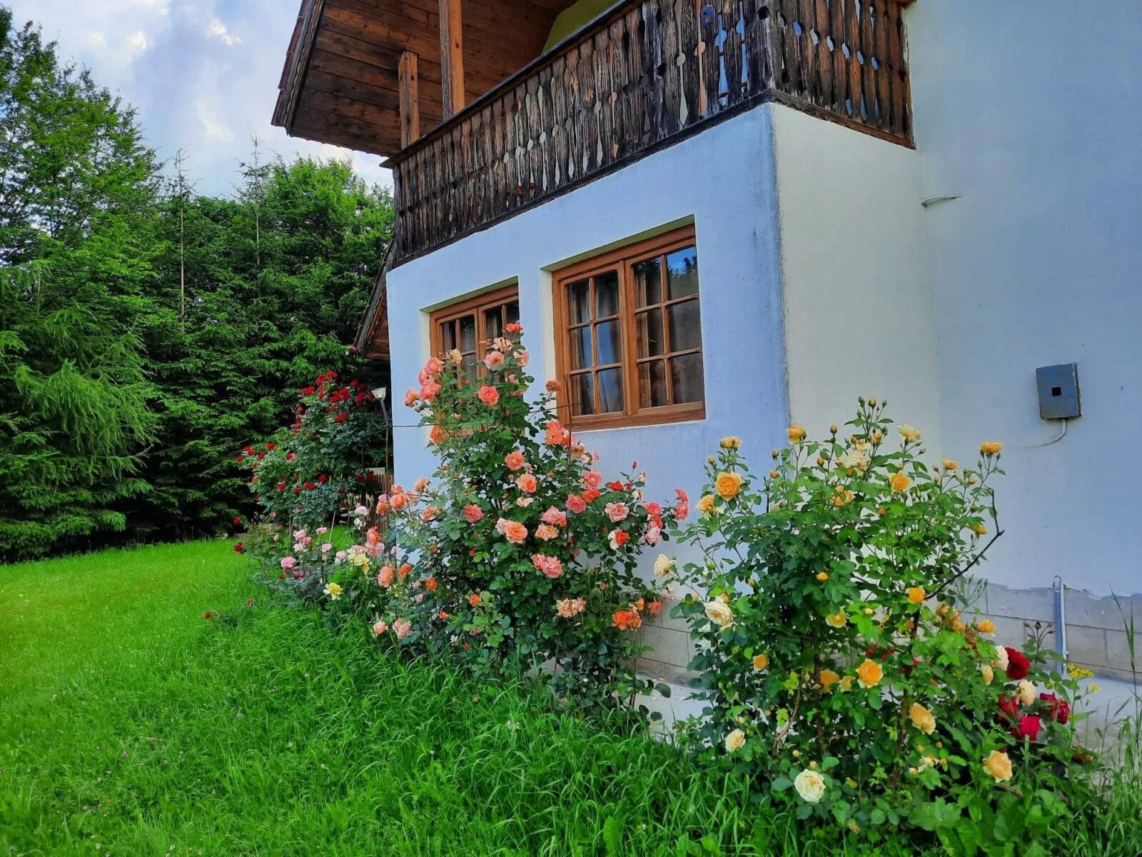 Soveja 25 caseromania.ro soveja